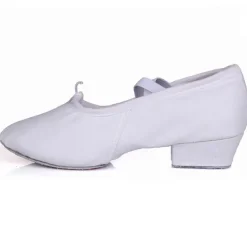 Women's Canvas Ballroom Dance Shoes with Low Heel and Suede Sole - Ideal for Latin Dance, Soft Sole Dance Shoes for Performance