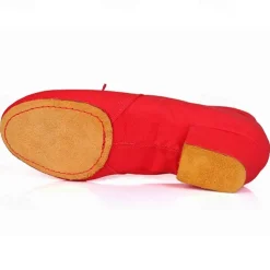 Women's Canvas Ballroom Dance Shoes with Low Heel and Suede Sole - Ideal for Latin Dance, Soft Sole Dance Shoes for Performance