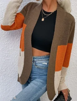 Women's Cardigan Casual Sweater Casual Soft Color Block V Neck Knitted Long Sleeve Regular Tops Knit Outdoor Daily Weekend Blue Brown Fall Winter