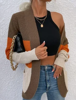 Women's Cardigan Casual Sweater Casual Soft Color Block V Neck Knitted Long Sleeve Regular Tops Knit Outdoor Daily Weekend Blue Brown Fall Winter