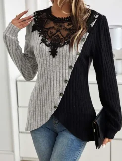 Women's Elegant Lace Tops Eyelet Blouse Stylish Modern Lace Long Sleeve Regular Tops Crew Neck Work Daily Romantic Petite Tops Summer Holiday Wear Black Gray Spring Fall Winter