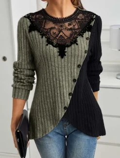 Women's Elegant Lace Tops Eyelet Blouse Stylish Modern Lace Long Sleeve Regular Tops Crew Neck Work Daily Romantic Petite Tops Summer Holiday Wear Black Gray Spring Fall Winter
