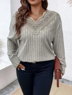Women's Elegant Lace Tops Eyelet Blouse Stylish Modern Lace Long Sleeve Regular Tops V Neck Work Daily Romantic Petite Tops Summer Holiday Wear Gray Spring Fall