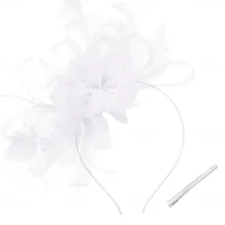 Women's Fascinators Feathers Mesh Ribbons Kentucky Derby Hat Tea Party Hats with Headband and Clip Fascinator Hat