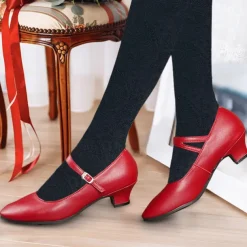 Women's Heels Pumps Slip-Ons Mary Jane Vintage Shoes Comfort Shoes Party Outdoor Daily Kitten Heel Round Toe Elegant Vintage Fashion Leather Cowhide Buckle Ankle Strap Silver Dark Red Black