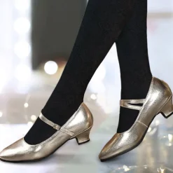 Women's Heels Pumps Slip-Ons Mary Jane Vintage Shoes Comfort Shoes Party Outdoor Daily Kitten Heel Round Toe Elegant Vintage Fashion Leather Cowhide Buckle Ankle Strap Silver Dark Red Black