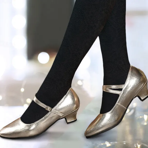 Women's Heels Pumps Slip-Ons Mary Jane Vintage Shoes Comfort Shoes Party Outdoor Daily Kitten Heel Round Toe Elegant Vintage Fashion Leather Cowhide Buckle Ankle Strap Silver Dark Red Black