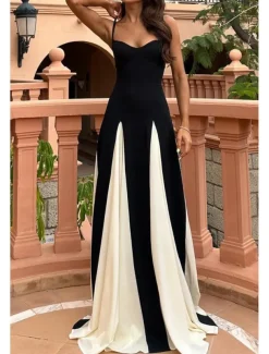 Women's Long Dress Maxi Dress Cocktail Dress Slip Dress Elegant Fashion Tea Party Going out Weekend Regular Fit Color Block Sleeveless Spaghetti Strap Black Summer