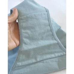 Women's Panties Bra Basic Panties Elastic WaistNightwearPolyester Solid Colored Casual Daily White Light Brown Gray Summer