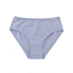 Women's Panties Bra Basic Panties Elastic WaistNightwearPolyester Solid Colored Casual Daily White Light Brown Gray Summer