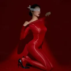 Women's Panty Hose Party Gift Daily Solid Color Acrylic Fibers Sexy Casual Casual / Daily 1 Pair