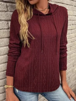 Women's Pullover Hoodie Sweatshirt Plain Casual Long Sleeve Hooded Regular Tops Street Dailywear Black Wine Brown Gray Fall Winter