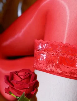 Women's Sexy Lingerie Pure Color Fashion Comfort Soft Street Daily Vacation Nylon Breathable Summer Spring Home Outfits