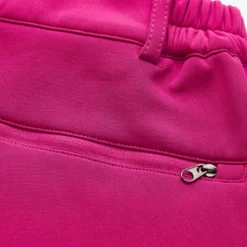 Women's Ski / Snow Pants Outdoor Winter Thermal Warm Waterproof Windproof Breathable Pants / Trousers for Camping / Hiking Snowboarding Winter Sports