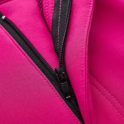 Women's Ski / Snow Pants Outdoor Winter Thermal Warm Waterproof Windproof Breathable Pants / Trousers for Camping / Hiking Snowboarding Winter Sports