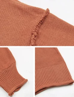 Women's Sweater Casual Soft Pure Color Ribbed V Neck Knitted Long Sleeve Regular Tops Knit Outdoor Daily Weekend Red Brown Fall Winter