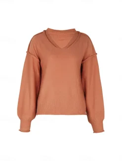 Women's Sweater Casual Soft Pure Color Ribbed V Neck Knitted Long Sleeve Regular Tops Knit Outdoor Daily Weekend Red Brown Fall Winter