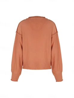 Women's Sweater Casual Soft Pure Color Ribbed V Neck Knitted Long Sleeve Regular Tops Knit Outdoor Daily Weekend Red Brown Fall Winter