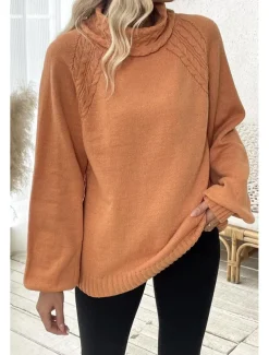 Women's Sweater Elegant Casual Soft Pure Color Ribbed Turtleneck Knitted Long Sleeve Regular Tops Knit Outdoor Daily Weekend Orange Fall Winter