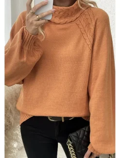 Women's Sweater Elegant Casual Soft Pure Color Ribbed Turtleneck Knitted Long Sleeve Regular Tops Knit Outdoor Daily Weekend Orange Fall Winter