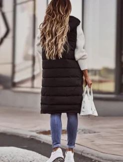 Women's Winter Coat Down Jacket Puffer Vest Jacket Casual Jacket Outdoor Street Wear Fall Winter Coat Casual